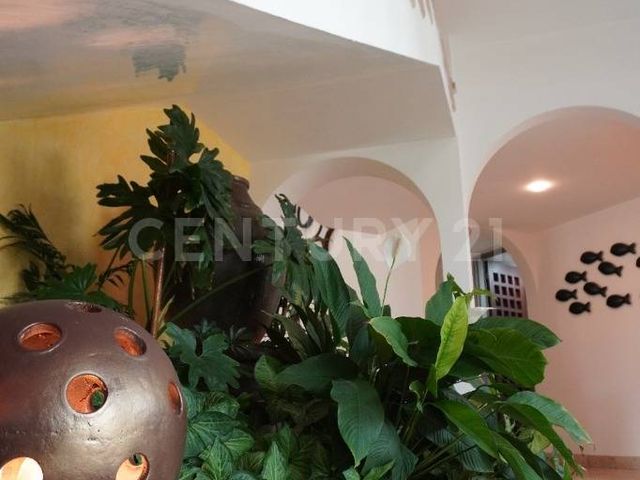 place photo 44