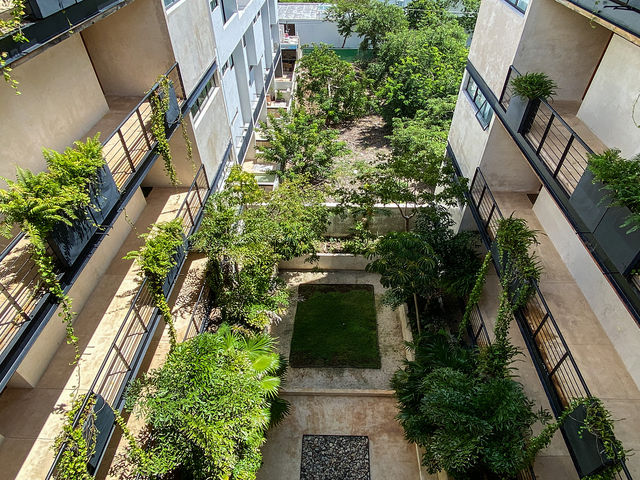 place photo 31