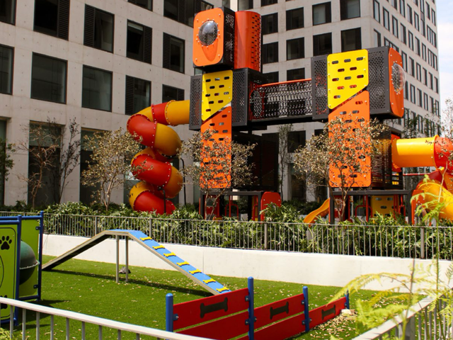place photo 34