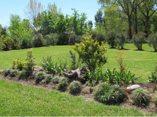 place photo 13
