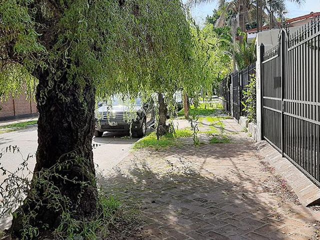 place photo 42