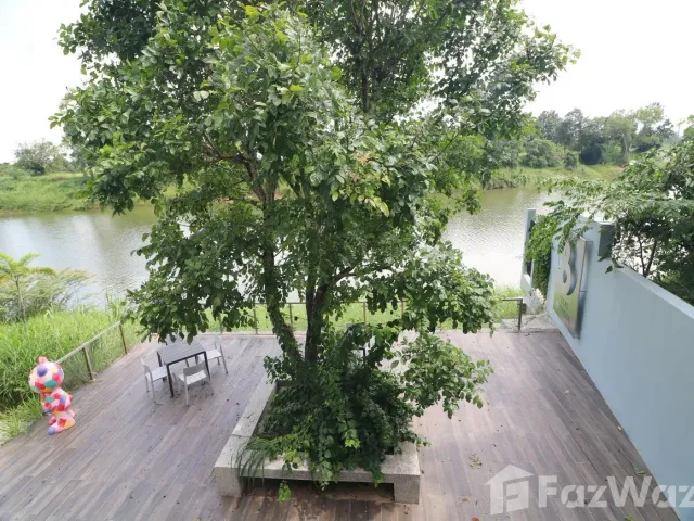 place photo 44