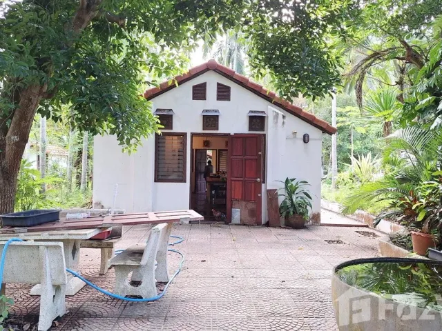place photo 42
