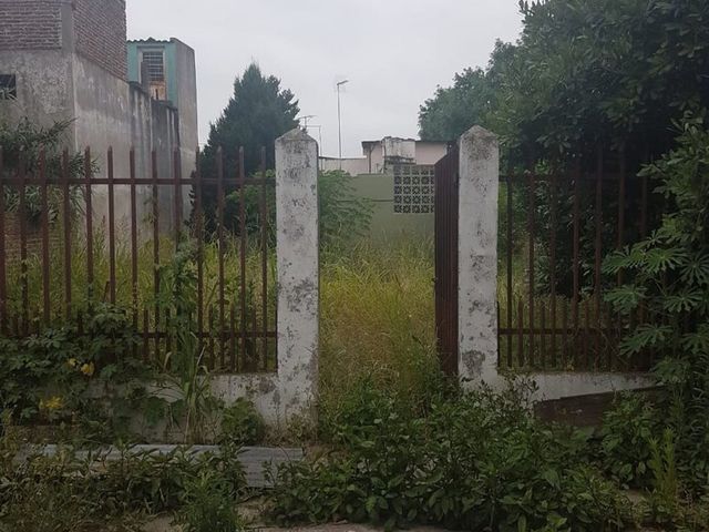 place photo 44