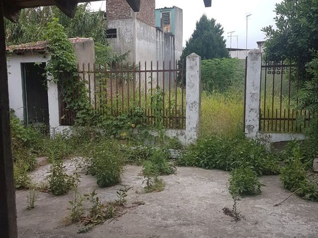 place photo 27