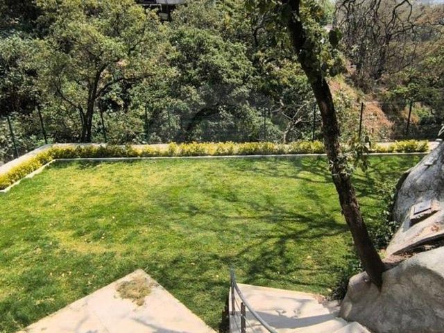 place photo 31