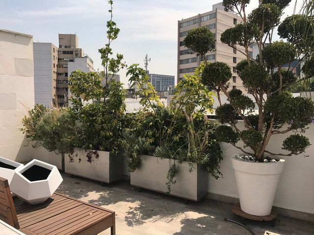 place photo 21
