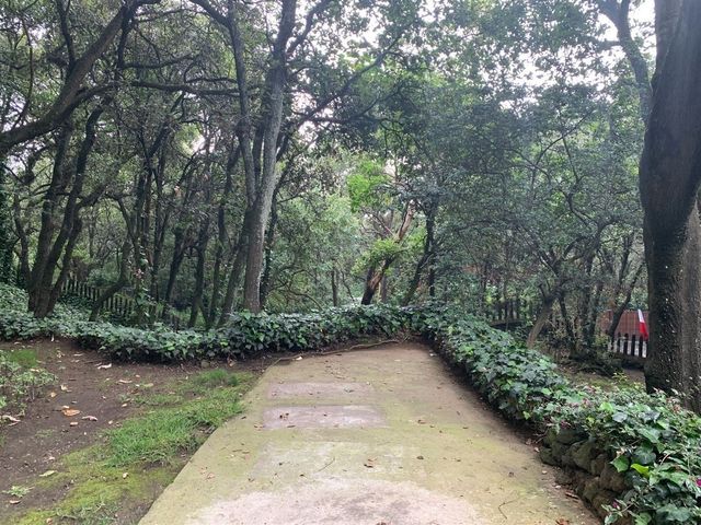 place photo 17