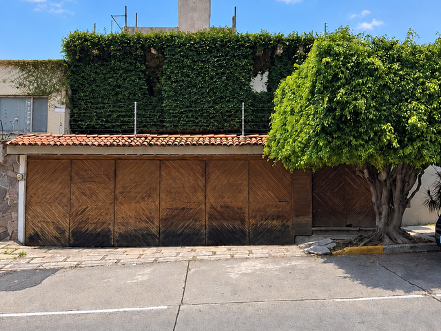 place photo 48