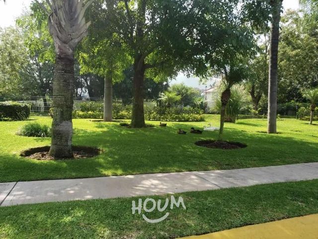 place photo 38
