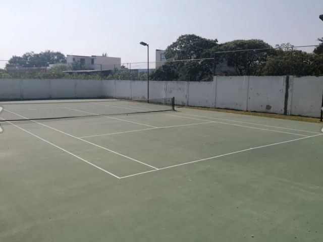 place photo 12