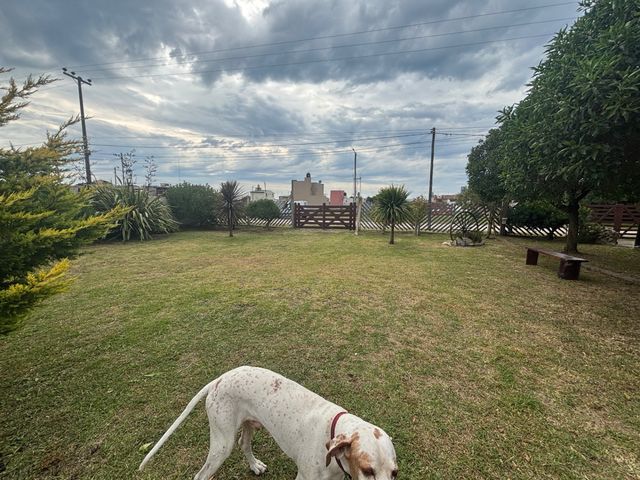 place photo 37