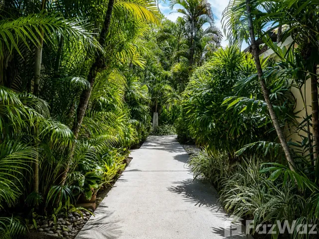 place photo 52