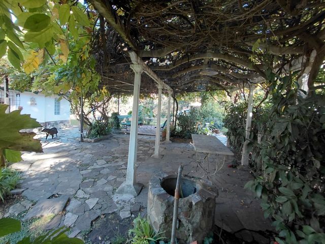 place photo 35