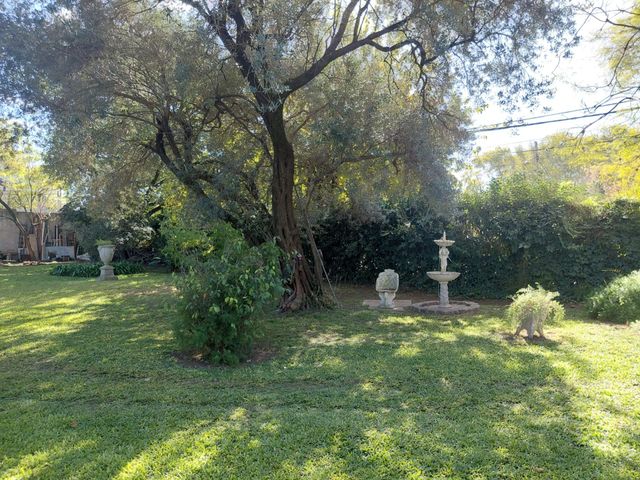 place photo 47