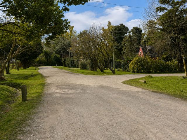 place photo 39