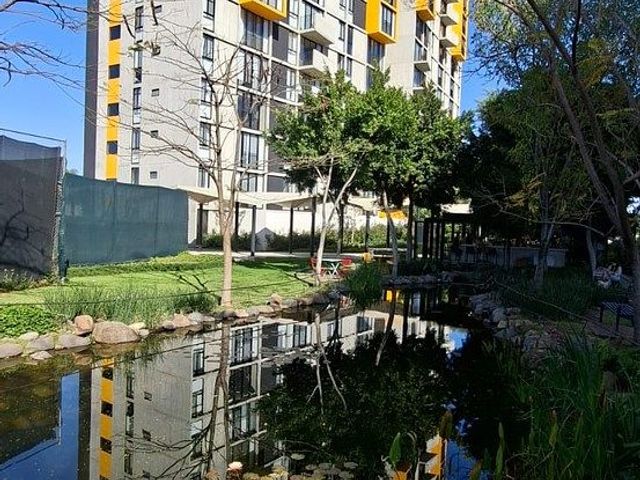 place photo 31