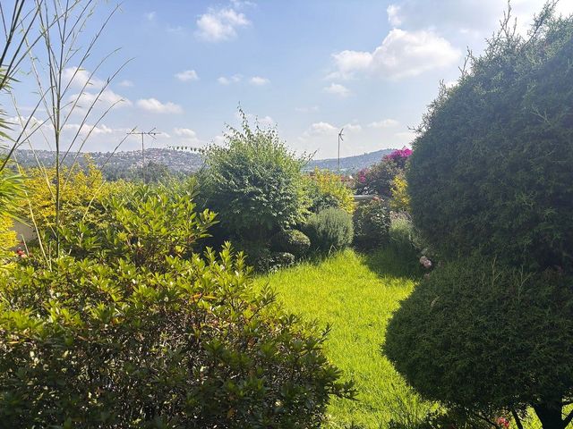 place photo 43