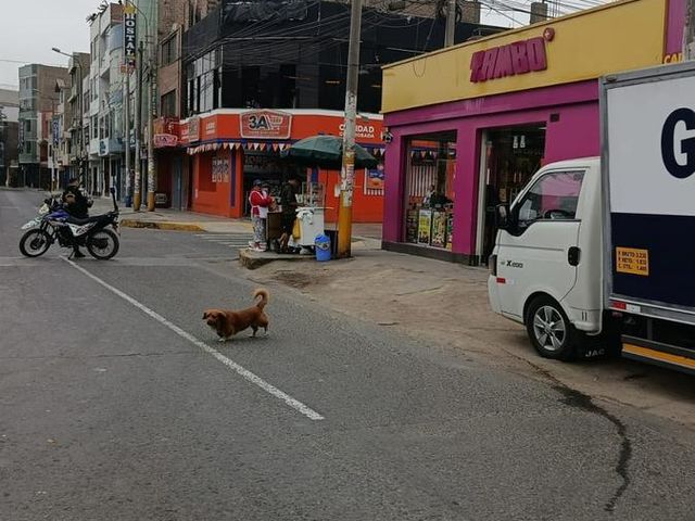 place photo 27