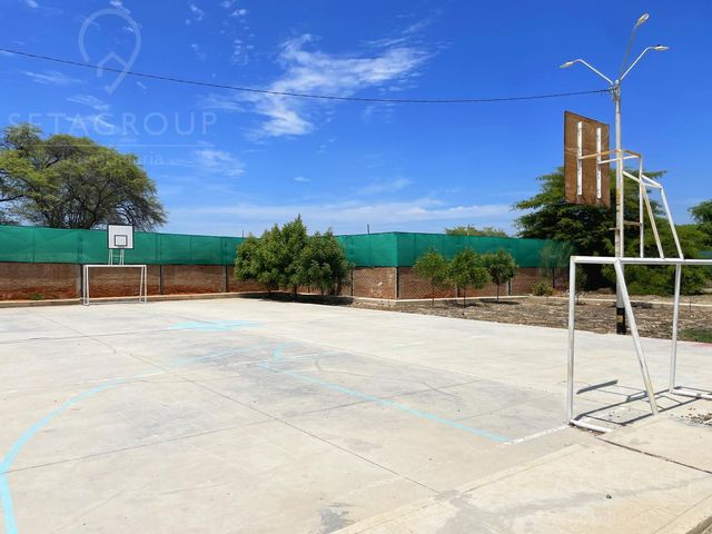 place photo 14