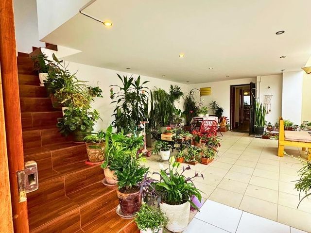 place photo 85