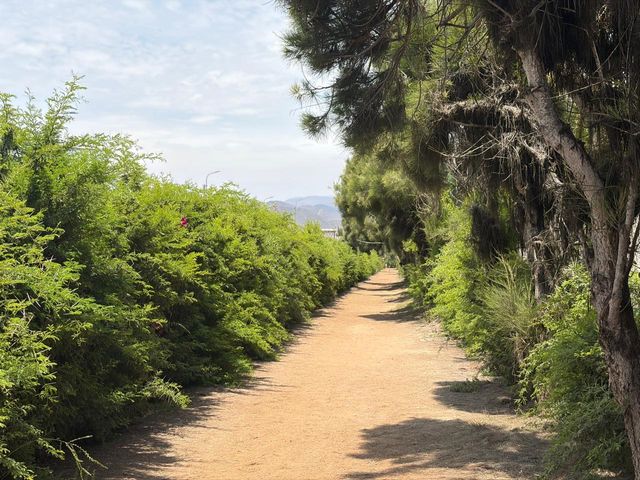 place photo 18