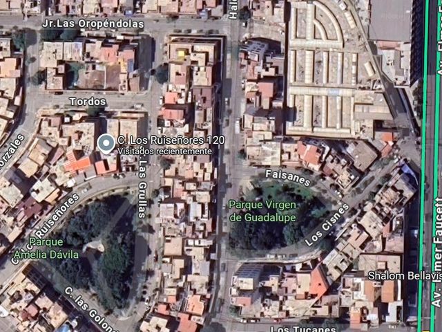 place photo 15