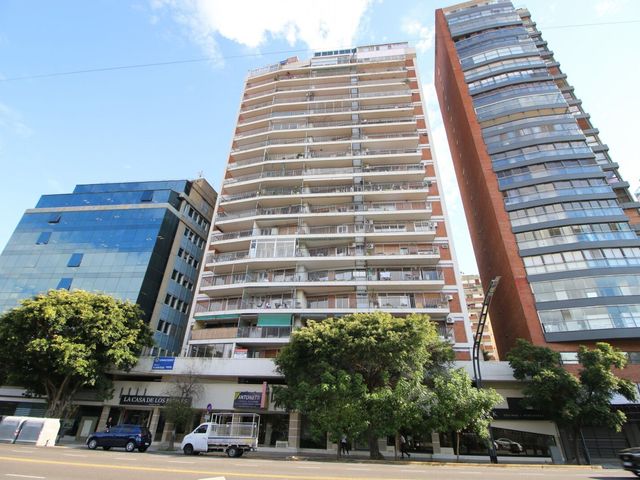 place photo 36