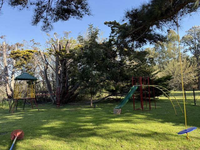 place photo 39