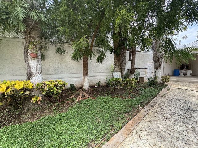place photo 36