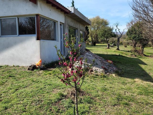 place photo 48