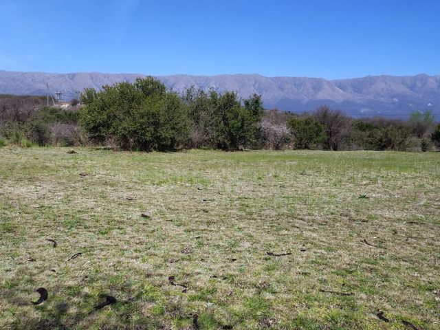 place photo 61