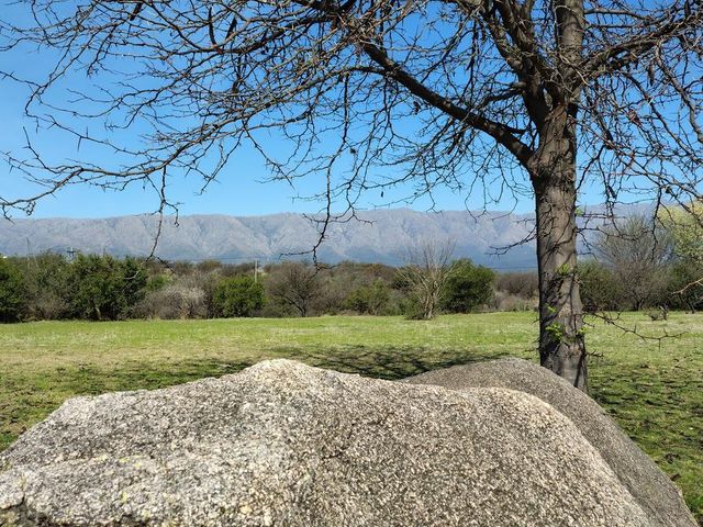 place photo 68