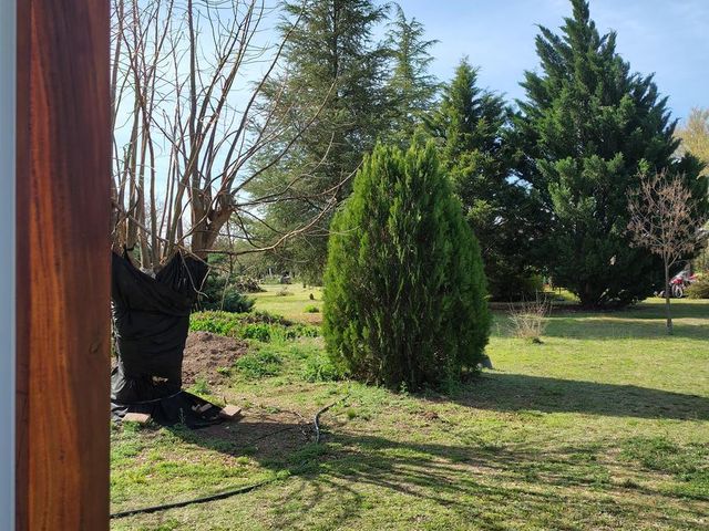 place photo 49