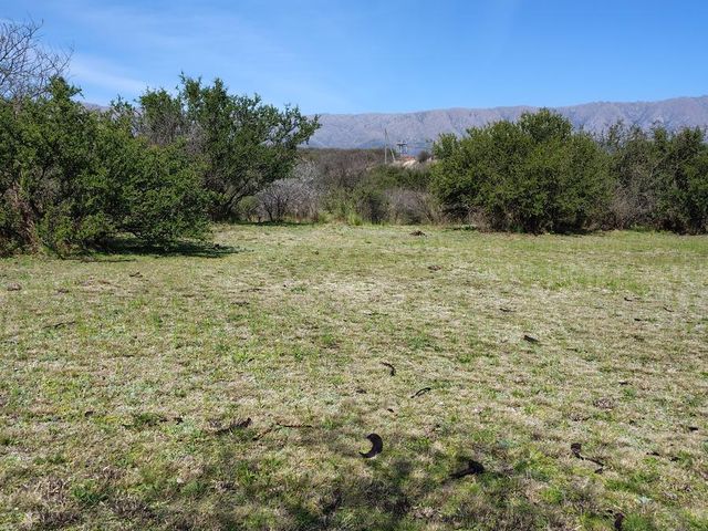 place photo 60