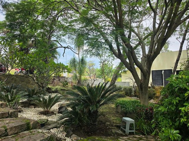 place photo 15