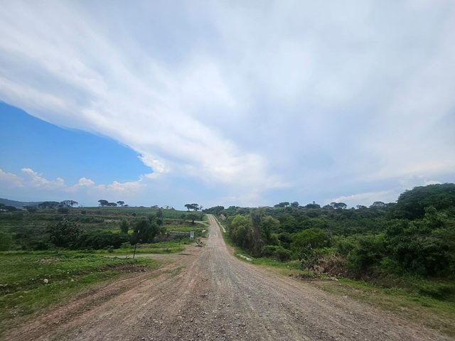 place photo 32