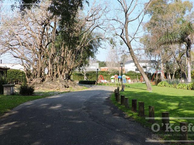 place photo 45