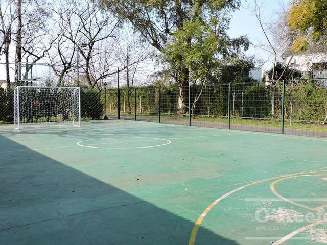 place photo 49