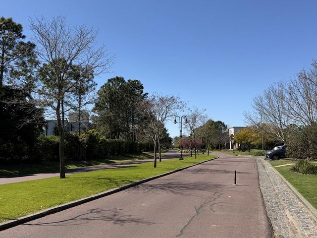 place photo 39