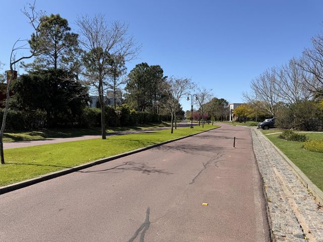 place photo 40
