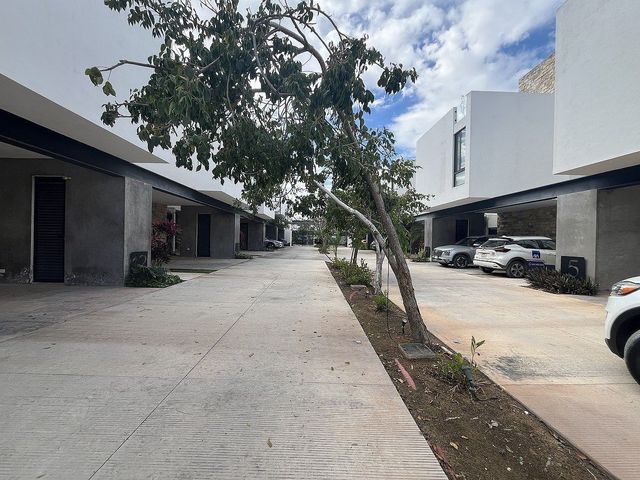 place photo 37