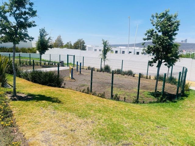 place photo 37