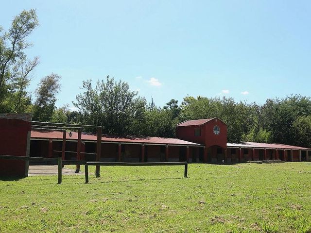 place photo 41