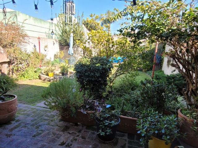 place photo 27
