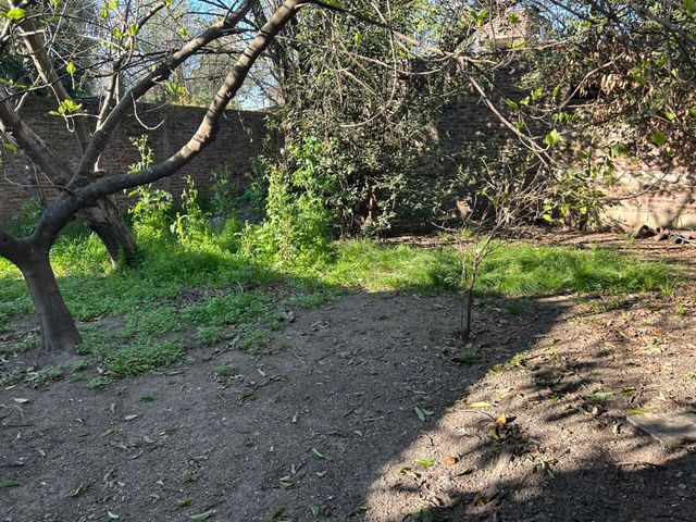 place photo 33
