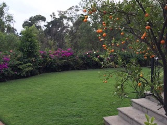 place photo 45