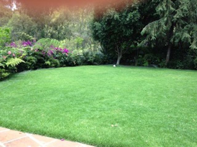 place photo 39