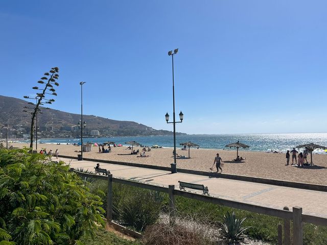 place photo 24