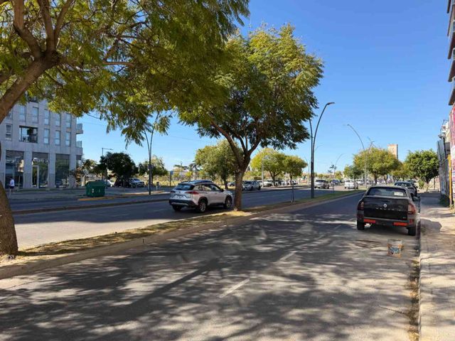 place photo 28